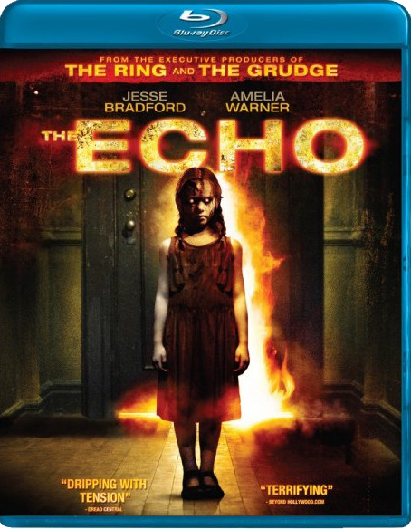 Эхо / The Echo (2008) DVDRip смотреть online