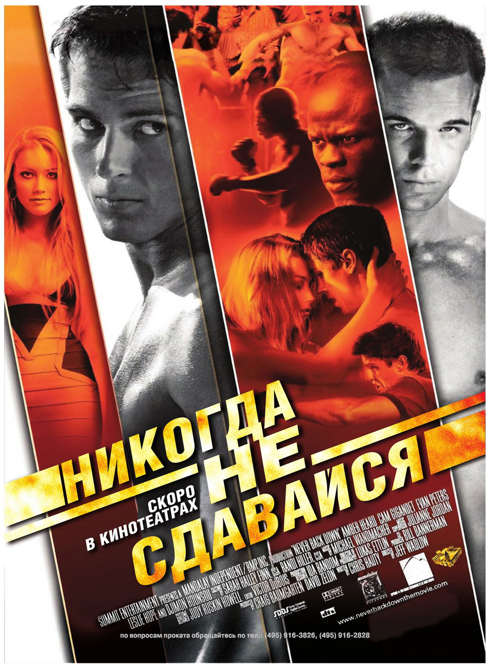 Никогда не сдавайся / Never Back Down (2008) DvDRip смотреть online