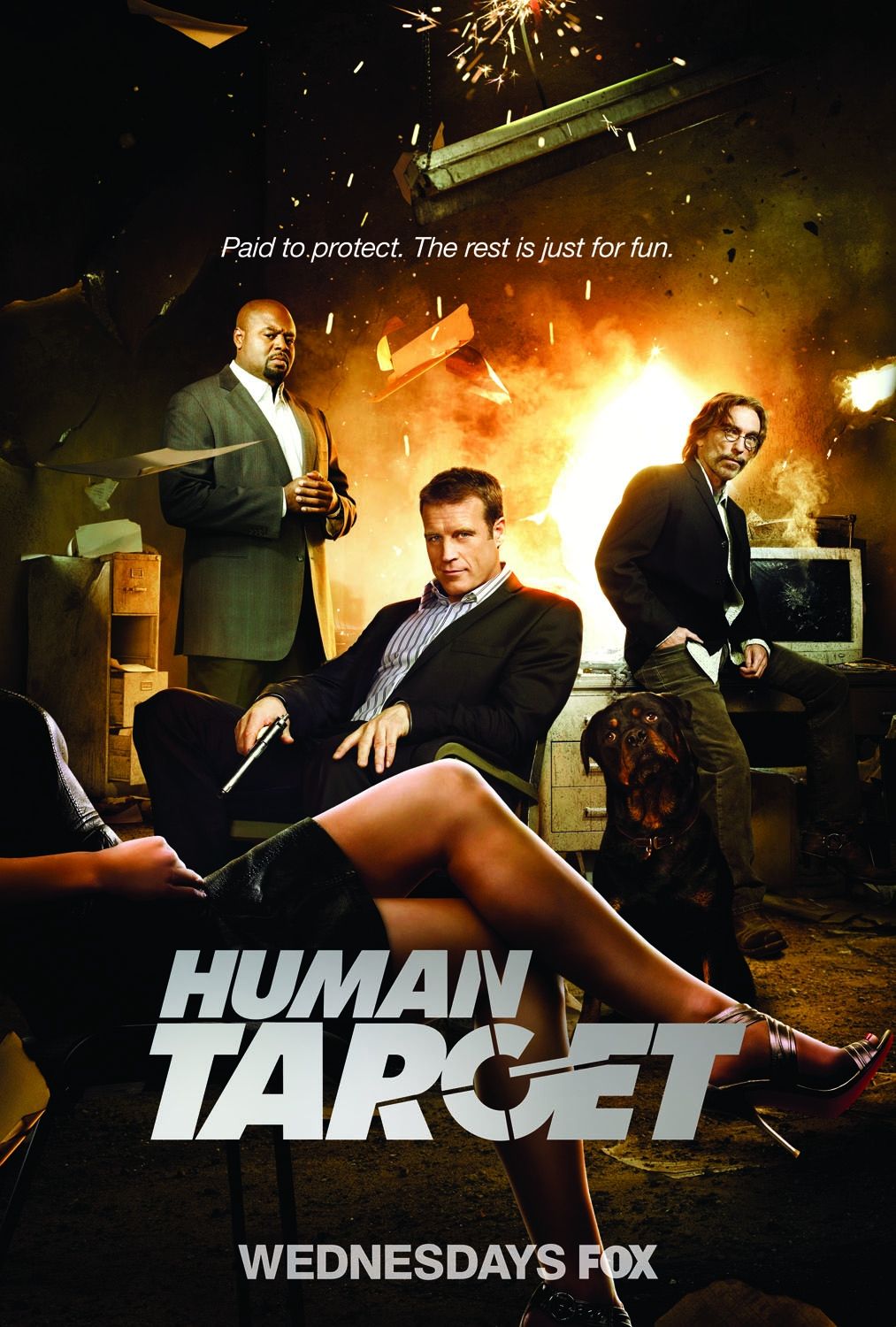 Живая Мишень / Human Target (2010) (1 Cезон 1-5 серия) DvDRip смотреть online