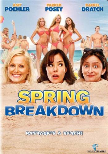 Весенний отрыв / Spring Breakdown (2009) DVDRip смотреть online