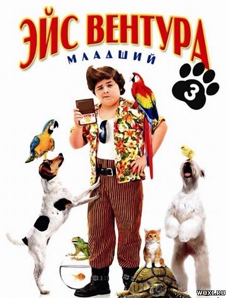 Эйс Вентура младший / Ace Ventura: Pet Detective Jr. (2009) DvDRip смотреть online