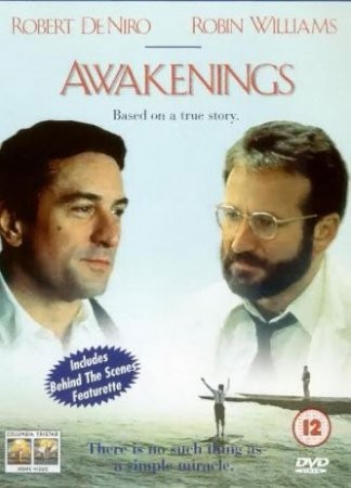 Пробуждение / Awakenings (1990) DVDRip смотреть online