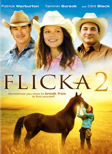 Флика 2 / Flicka 2 (2010) DVDRip смотреть online