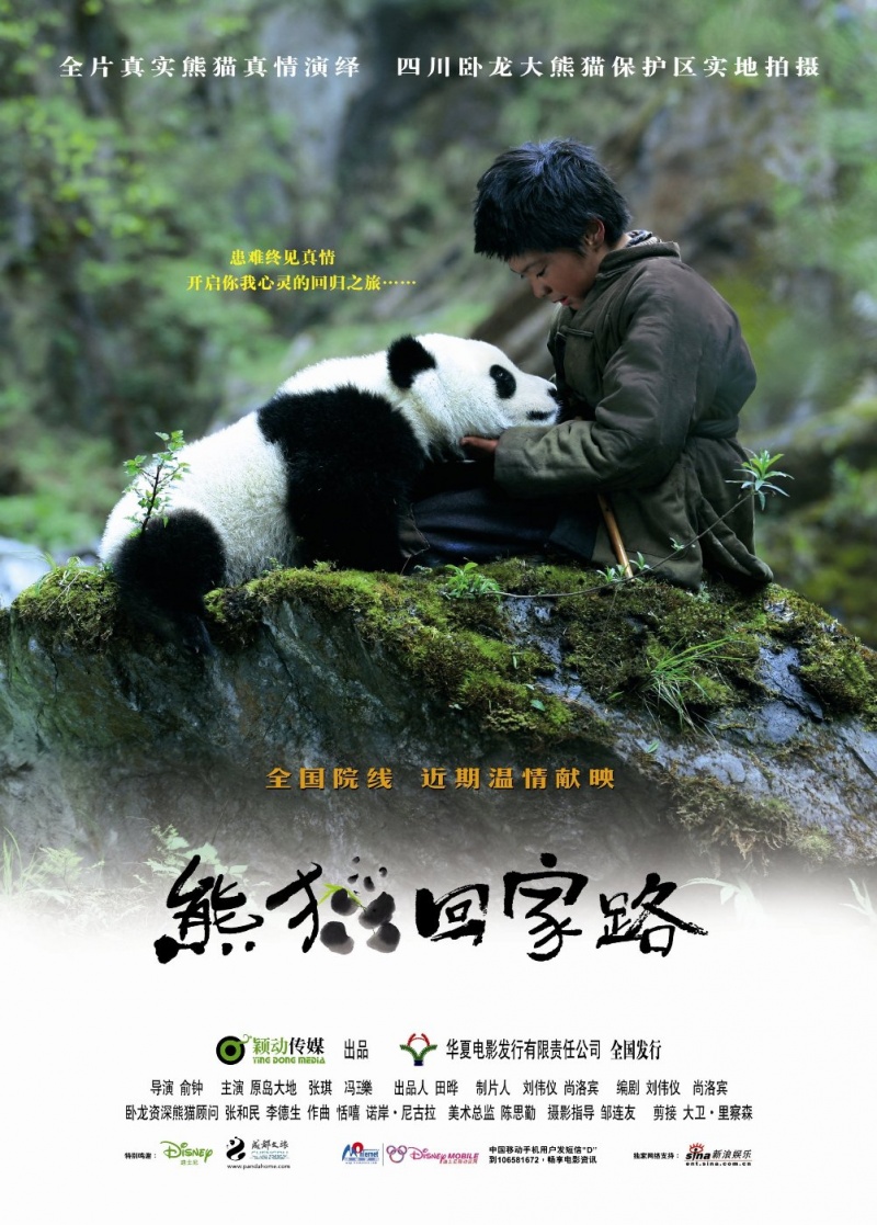След панды (2009) смотреть online