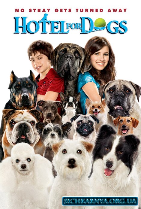 Отель для собак / Hotel for Dogs (2009) mp4 смотреть online